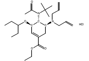 (3R,4R,5S)-4-N-Acetyl(1,1-dimethylethyl)amino-5-N,N-diallylamino-3-(1-ethylpropoxy)-1-cyclohexene-1-carboxylic acid ethyl ester monohydrochloride structure, CAS 651324-08-2