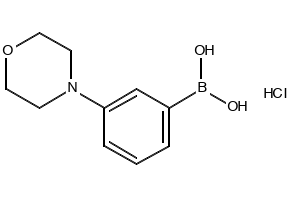3-Morpholinophenylboronic acid hydrochloride structure, CAS 863248-20-8