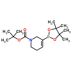 1-Boc-3,6-dihydro-2H-pyridine-5-boronic acid pinacol ester structure, CAS 885693-20-9