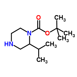 1-N-Boc-2-isopropylpiperazine structure, CAS 886766-25-2
