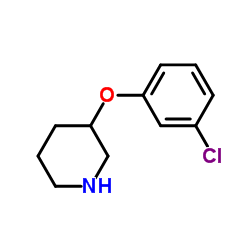 3-(3-Chlorophenoxy)piperidine structure, CAS 902837-32-5