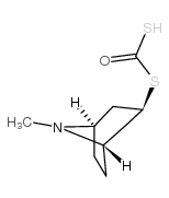 Tropine-3-xanthate structure, CAS 908266-45-5