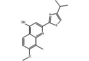 2-(4-Isopropylthiazol-2-yl)-7-methoxy-8-methylquinolin-4-ol structure, CAS 923289-21-8