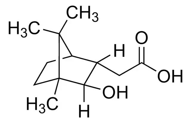 2-Azabicyclo[2.2.1]heptane-2-acetic acid structure, CAS 933690-44-9