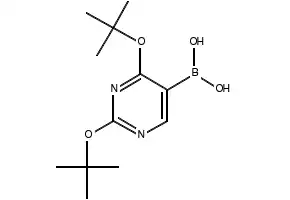 (2,4-Dimethylthiazol-5-yl)boronic acid structure, CAS 936361-37-4