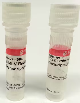 AMV-Reverse transcriptase structure, CAS 9068-38-6