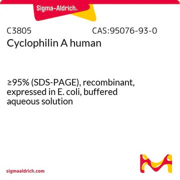 Cyclophilin A structure, CAS 95076-93-0