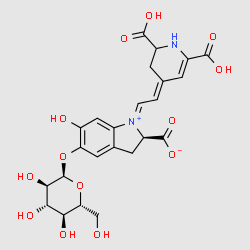 betalains structure, CAS 37279-84-8
