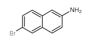 LAURYL DIMETHYLAMINE OXIDE structure, CAS 70592-80-2