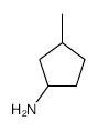 3-methylcyclopentylamine structure, CAS 52430-83-8