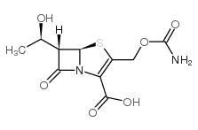 Ritipenem structure, CAS 84845-57-8