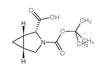 [1S-, 2R-, 5R-]3-Aza-bicyclo[3.1.0]hexane-2,3-dicarboxylic acid 3-tert-butyl ester structure, CAS 400720-05-0