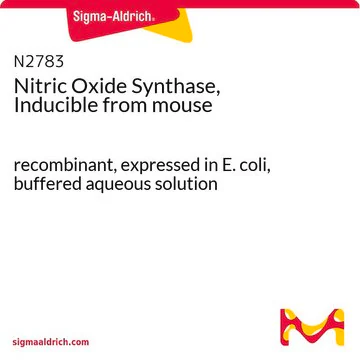 NITRIC OXIDE structure, CAS 10102-43-9
