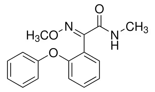 (E)-METOMINOSTROBIN structure, CAS 133408-50-1
