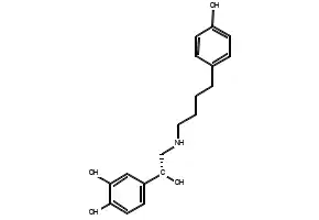 4-[(1R)-1-hydroxy-2-[4-(4-hydroxyphenyl)butylamino]ethyl]benzene-1,2-diol structure, CAS 128470-16-6