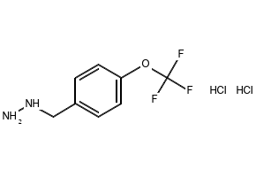 4-(HYDRAZINOMETHYL)BENZYL]HYDRAZINE structure, CAS 10584-43-7