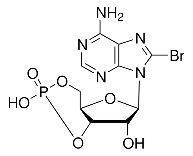 8-BROMOADENOSINE 3':5'-CYCLIC MONOPHOSPHATE structure, CAS 23583-48-4