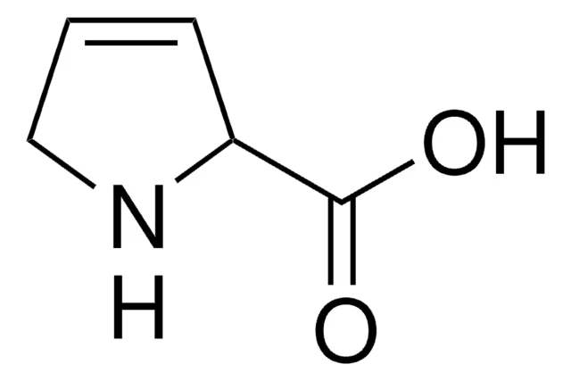2,5-Dihydro-1H-pyrrole-2-carboxylic acid structure, CAS 3395-35-5