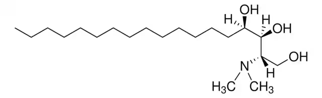 Cyclopentanecarboxamide, N,N-dimethyl- structure, CAS 50484-00-9