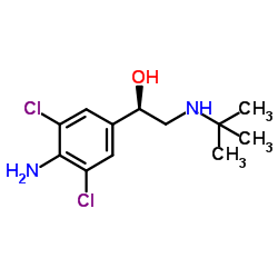 CLENBUTEROL structure, CAS 37148-27-9