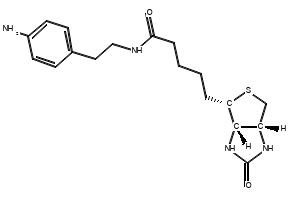 N-(4-Aminophenethyl)-2-hydroxypropanamide structure, CAS 92547-58-5