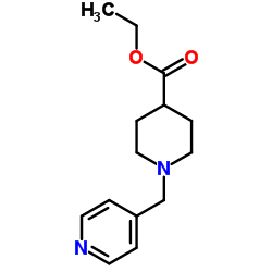 Boronic acid, B-(6-methyl-3-pyridinyl)- structure, CAS 138030-54-3