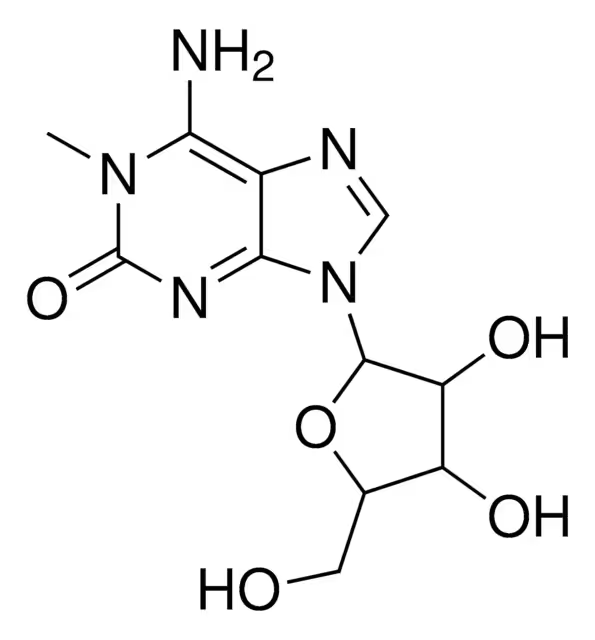 2-Amino-1-methyl-1H-purine-6(7H)-thione structure, CAS 16714-57-1