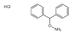 O-Benzhydrylhydroxylamine hydrochloride structure, CAS 3482-34-6