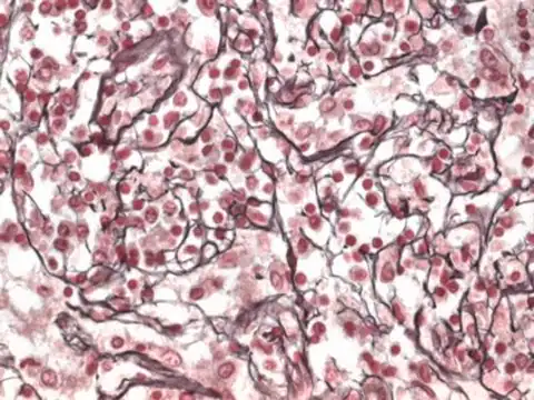 Reticuline structure, CAS 485-19-8