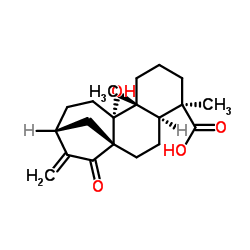 ent-9-Hydroxy-15-oxo-16-kauren-19-oicacid structure, CAS 77658-39-0