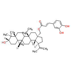 Betulincaffeate structure, CAS 89130-86-9