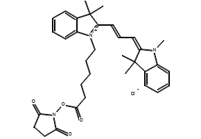 2-(2,5-Dioxopyrrolidin-3-yl)acetyl chloride structure, CAS 89379-89-5