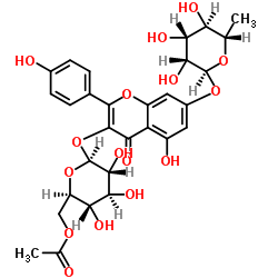 Kaempferol3-O-(6'-O-acetyl)glucoside-7-O-rhamnoside structure, CAS 66465-24-5