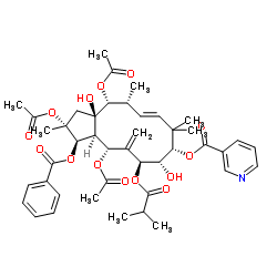 2,5,14-Triacetoxy-3-benzoyloxy-8,15-dihydroxy-7-isobutyroyloxy-9-nicotinoyloxyjatropha-6(17),11E-diene structure, CAS 210108-87-5