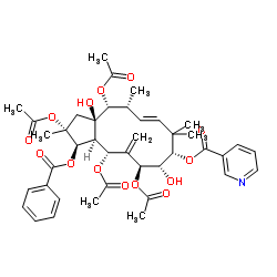 2,5,7,14-Tetraacetoxy-3-benzoyloxy-8,15-dihydroxy-9-nicotinoyloxyjatropha-6(17),11E-diene structure, CAS 210108-89-7