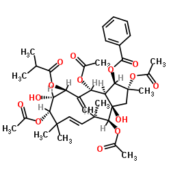 2,5,9,14-Tetraacetoxy-3-benzoyloxy-8,15-dihydroxy-7-isobutyroyloxyjatropha-6(17),11E-diene structure, CAS 210108-88-6