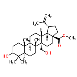 3,27-Dihydroxy-20(29)-lupen-28-oicacidmethylester structure, CAS 263844-79-7