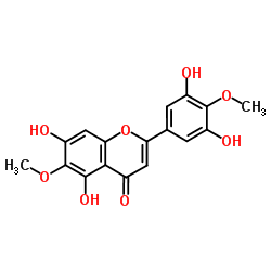 3',5,5',7-Tetrahydroxy-4',6-dimethoxyflavone structure, CAS 125537-92-0