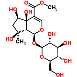 6beta-Hydroxyipolamiide structure, CAS 87797-84-0