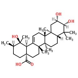 2-Epitormenticacid structure, CAS 119725-19-8