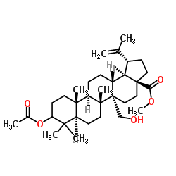 3-Acetoxy-27-hydroxy-20(29)-lupen-28-oicacidmethylester structure, CAS 263844-80-0