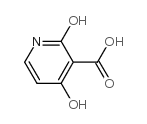 2,4-dihydroxynicotinicacid structure, CAS 856214-16-9