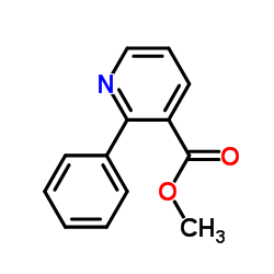 2-Phenyl-nicotinicacidethylester structure, CAS 188797-88-8