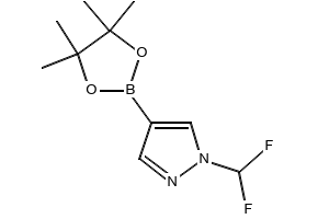 1-(difluoromethyl)-4-(4,4,5,5-tetramethyl-1,3,2-dioxaborolan-2-yl)-1H-pyrazole structure, CAS 1206640-82-5