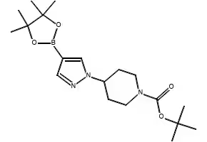 tert-butyl4-(4-(4,4,5,5-tetramethyl-1,3,2-dioxaborolan-2-yl)-1H-pyrazol-1-yl)piperidine-1-carboxylate structure, CAS 977399-74-1