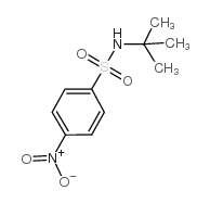 N-tert-Butyl4-Nitrophenylsulfonamide structure, CAS 49690-09-7