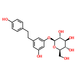 Dihydroresveratrol3-O-glucoside structure, CAS 100432-87-9