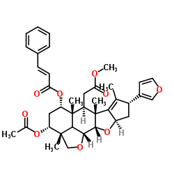 Ohchininacetate structure, CAS 67023-81-8