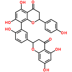 Tetrahydroamentoflavone structure, CAS 48236-96-0