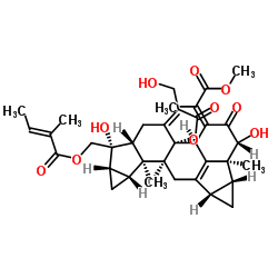 ShizukaolC structure, CAS 142279-41-2